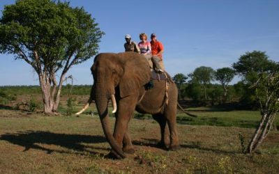 DAY 17 – Victoria Falls (Day 3)
