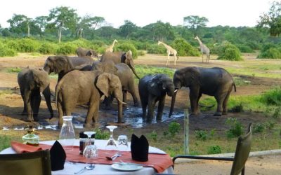 DAY 18 – Botswana – Chobe Park