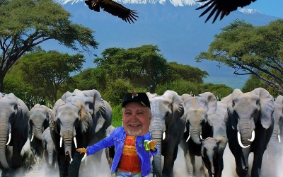 Africa Safari Posts…Final Days