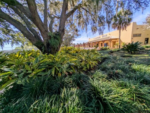 Sherry Alexander_s 8 and 9 Ball Tournament (106)