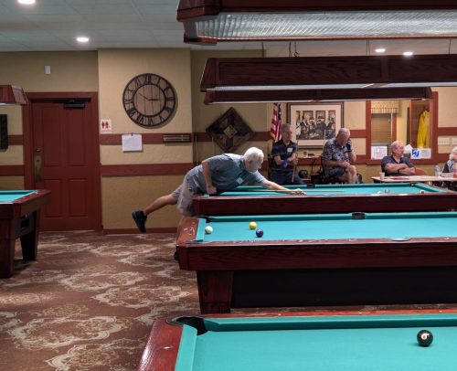 Sherry Alexander_s 8 and 9 Ball Tournament (21)